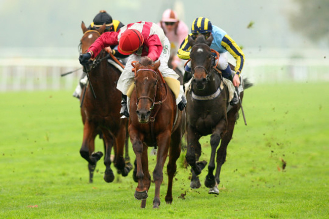 Lacarolina remporte le Prix Miesque sous la selle de Christophe Soumillon, pour Jean-Claude Rouget.